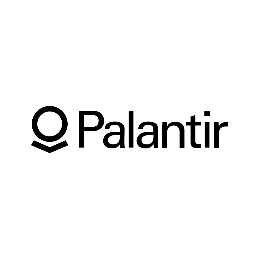 Palantir-Logo technologies